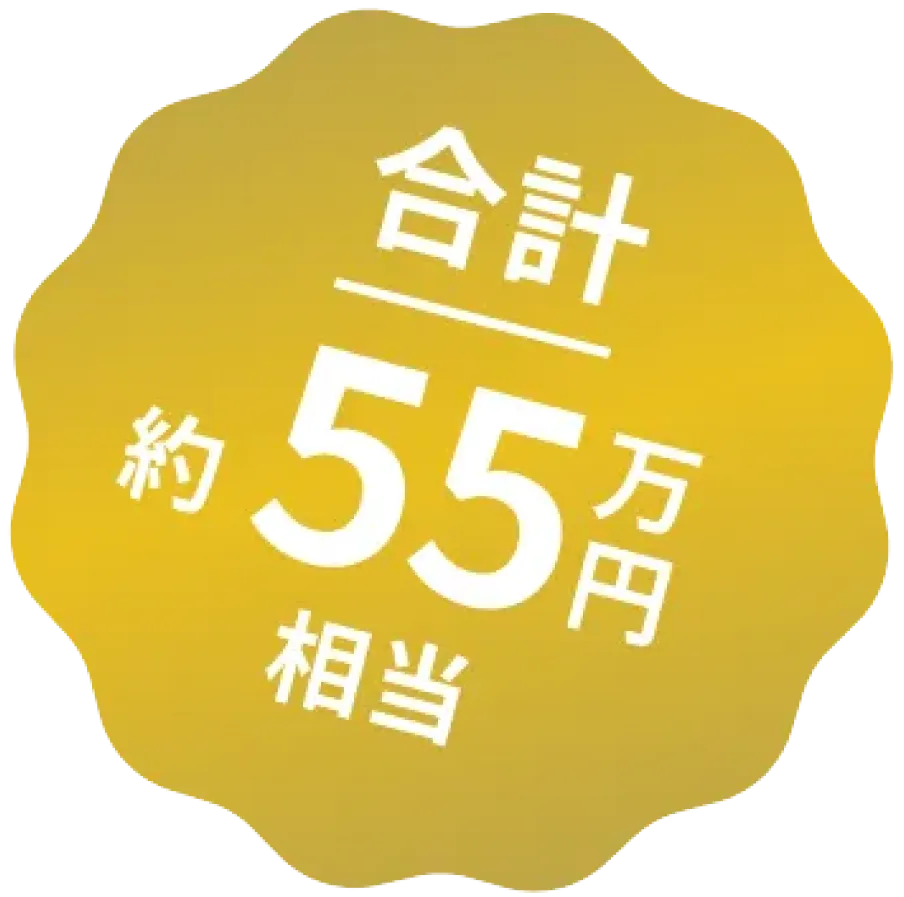 合計約55万相当